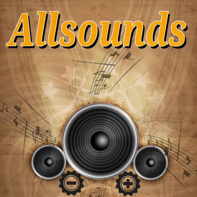 Stationsbild allsounds