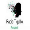 Das Logo von laut.fm Radio Tigullio Ambient