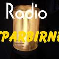 Das Logo von laut.fm Radio-Sparbirne