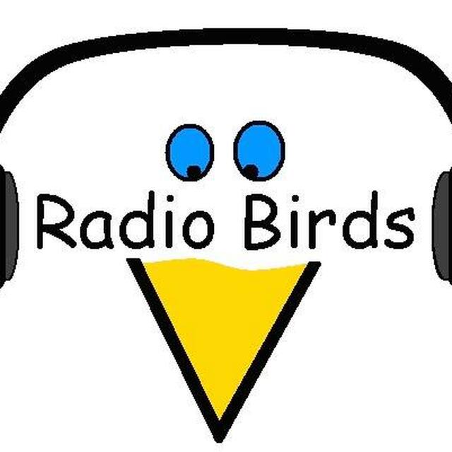 Stationsbild radiobirds