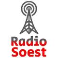 Das Logo von laut.fm Radiosoestnrw