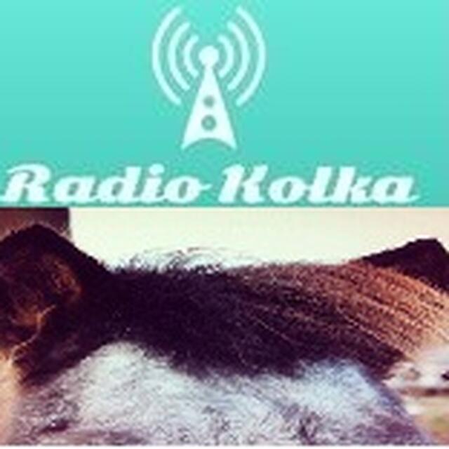 Stationsbild radio-kolka