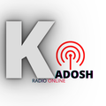 Das Logo von laut.fm Ruajkadoh